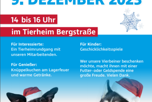 Tierheim