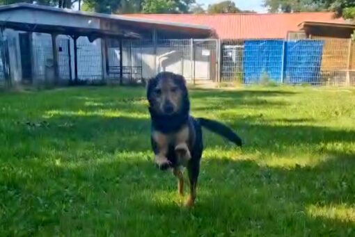 Screenshot_20260103_123953_WhatsApp