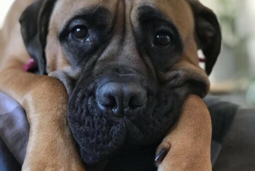 Wilma 2